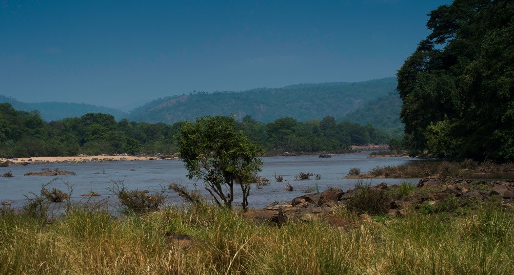Cauvery South Wildlife Sanctuary